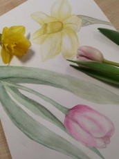 Gleznosana pieaugusajiem 16